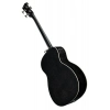 Бас-гітара Ibanez PCBE14MH-WK
