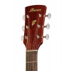 Акустична гітара Ibanez PF12MHCE-OPN