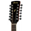 Акустична гітара Ibanez PF1512-NT