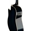 Акустична гітара Ibanez PF15ECE-TBS
