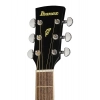 Акустическая гитара Ibanez PF16MWCE WBK