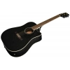 Акустическая гитара Ibanez PF16MWCE WBK