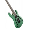 Електрогітара Ibanez PGMM21 Paul Gilbert MGN