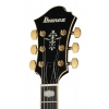 Електрогітара Ibanez PM3C-BKL Pat Metheny