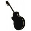 Електрогітара Ibanez PM3C-BKL Pat Metheny