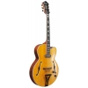 Електрогітара Ibanez PM3C-NAL Pat Metheny