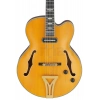 Електрогітара Ibanez PM3C-NAL Pat Metheny