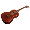 Бас-гітара Ibanez PNB14E-OPN Acoustic Bass