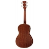 Бас-гітара Ibanez PNB14E-OPN Acoustic Bass
