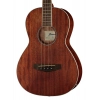 Бас-гітара Ibanez PNB14E-OPN Acoustic Bass