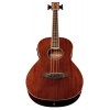 Бас-гітара Ibanez PNB14E-OPN Acoustic Bass