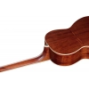 Бас-гітара Ibanez PNB14E-OPN Acoustic Bass