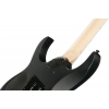 Електрогітара Ibanez RG420EX-BKF