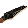 Электрогитара Ibanez RG421-MOL