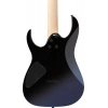 Електрогітара Ibanez RG421DX-TWS