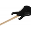 Електрогітара Ibanez RG421EX-BKF