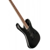 Електрогітара Ibanez RG421EX-BKF