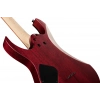 Електрогітара Ibanez RG421PB-CHF