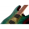 Електрогітара Ibanez RG421PB-CHF