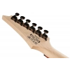 Електрогітара Ibanez RG421PB-CHF