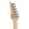 Електрогітара Ibanez RG421PB-CHF