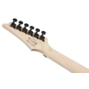 Электрогитара Ibanez RG470DX-TMN