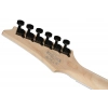 Електрогітара Ibanez RG470DXW-CA