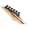 Электрогитара Ibanez RG5120M-PRT Prestige
