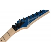 Електрогітара Ibanez RG550-EB