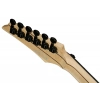 Електрогітара Ibanez RGA20P1PB-CUL