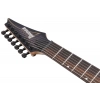 Електрогітара Ibanez RGA217P1PBDRL