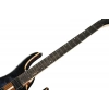 Электрогитара Ibanez RGA21P1PB-DRL