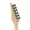 Электрогитара Ibanez RGA21P1PB-DRL
