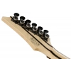 Електрогітара Ibanez RGD3121-PRF