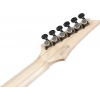 Електрогітара Ibanez RGR662AHBF-WK