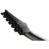 Електрогітара Ibanez RGRT421-WK