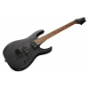 Електрогітара Ibanez RGRT421-WK