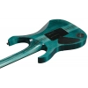 Електрогітара Ibanez RGT1220PBKCOL