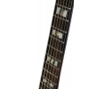 Електрогітара Ibanez RGT1221PB-DTF