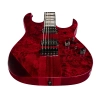 Електрогітара Ibanez RGT1221PB-SWL