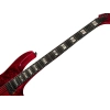 Електрогітара Ibanez RGT1221PB-SWL