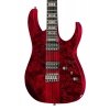 Електрогітара Ibanez RGT1221PB-SWL