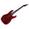 Електрогітара Ibanez RGT1221PB-SWL