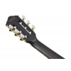 Класична гітара Ibanez Signature Tim Henson TOD10N