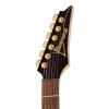 Електрогітара Ibanez SML721-RGC