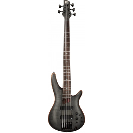 Бас-гітара Ibanez SR1455DW-TGF