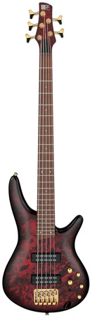 Бас-гитара Ibanez SR305EDX-WZM
