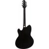 Акустическая гитара Ibanez TCM50-GBO