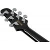 Акустична гітара Ibanez TCY10PA-CBS