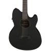 Акустична гітара Ibanez TCY621-BOT